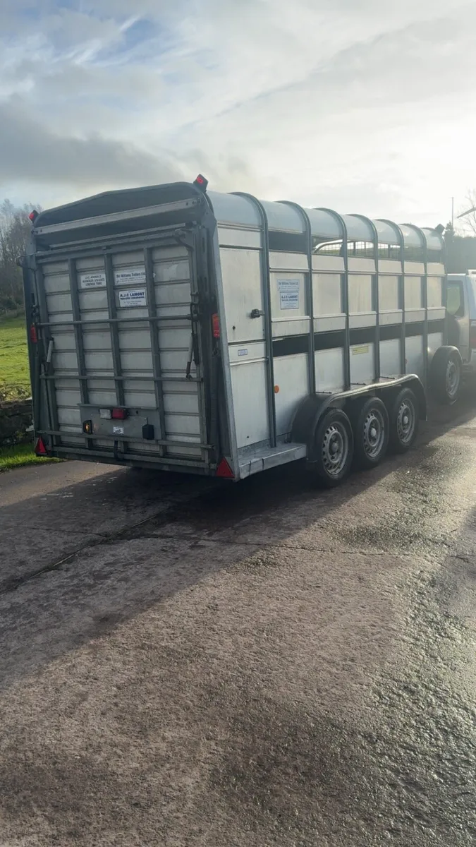 Ifor Williams cattle / sheep trailer - Image 3