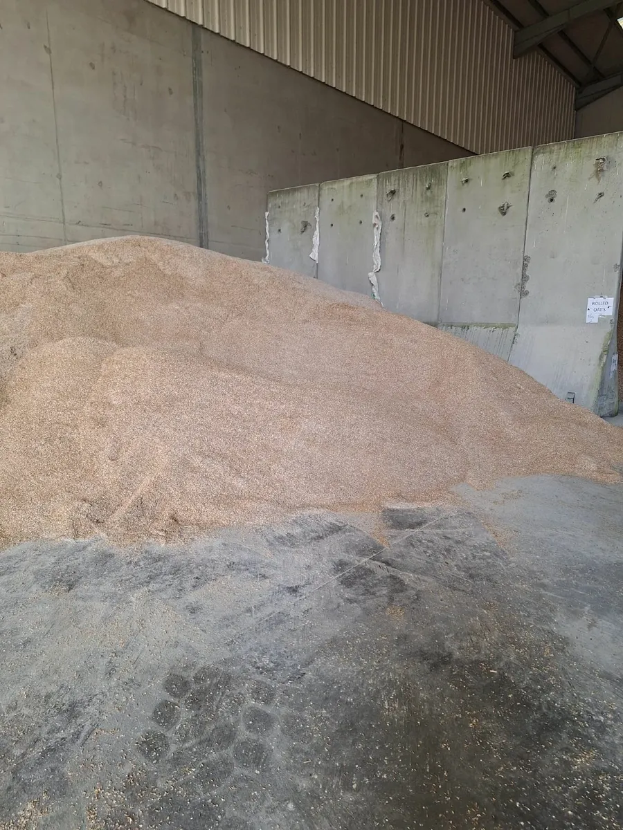 Rolled Oats - Image 1