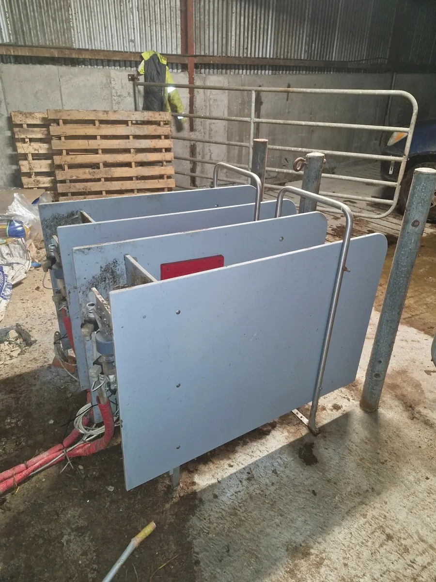 Calf feeder - Image 2