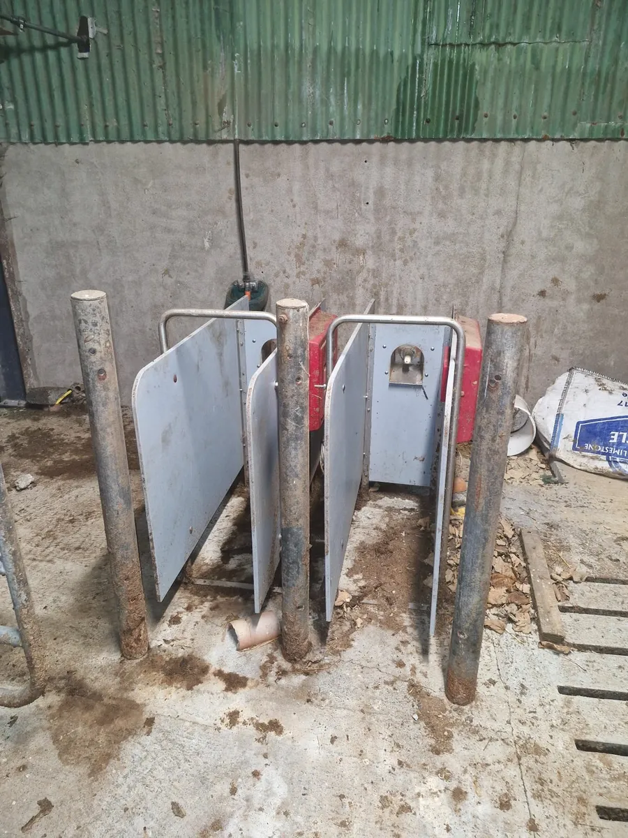 Calf feeder - Image 3