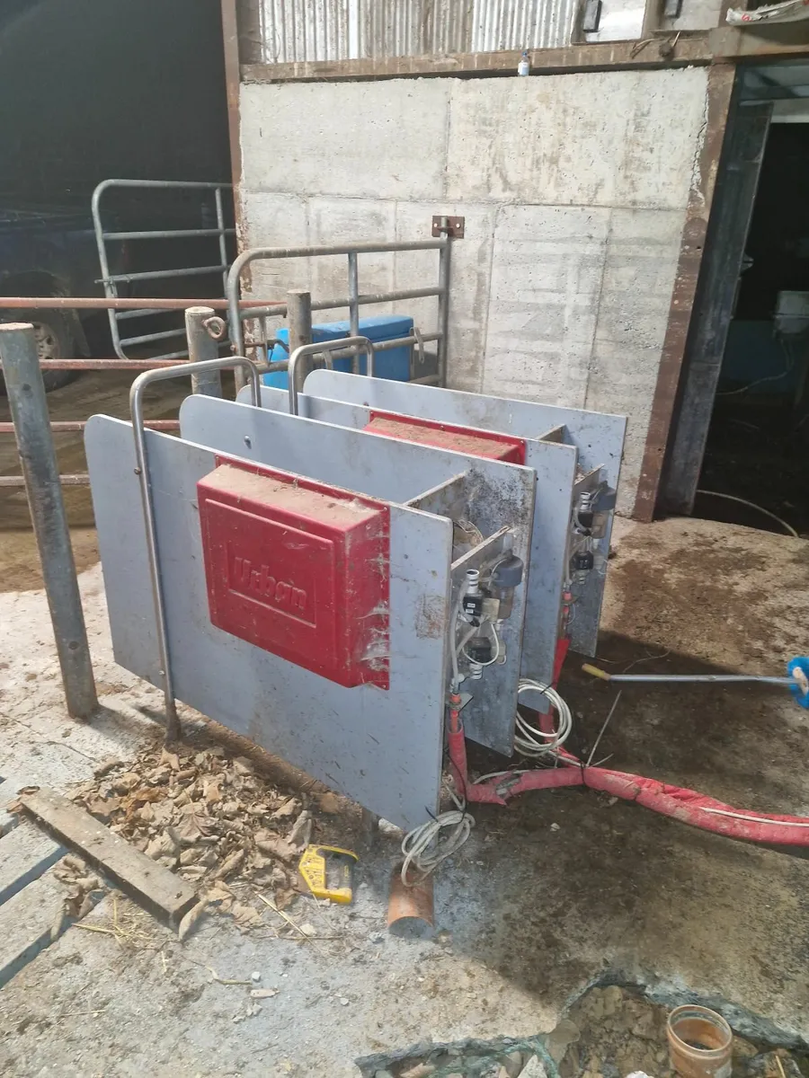 Calf feeder - Image 4