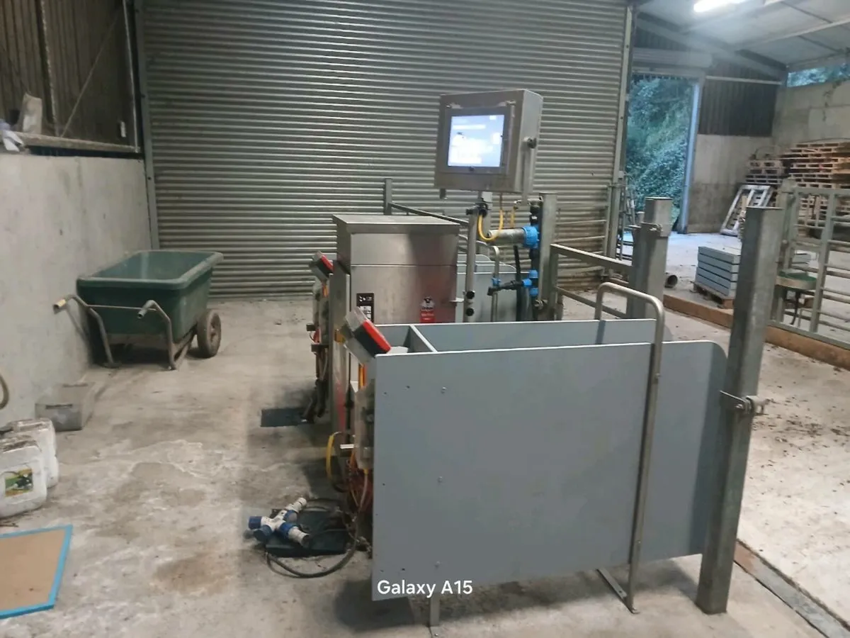 Calf feeder - Image 3