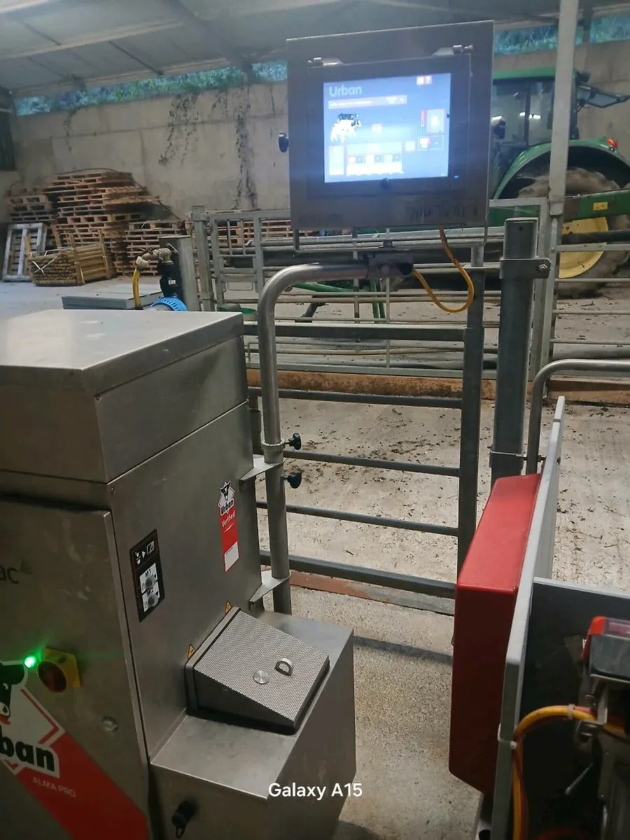 Calf feeder - Image 2