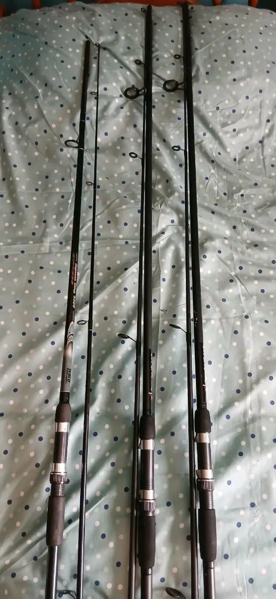 3 carp/pike rods - Image 3