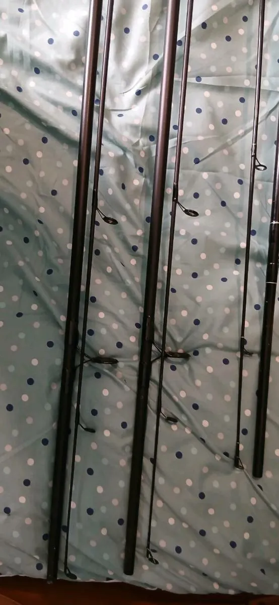 3 carp/pike rods - Image 4