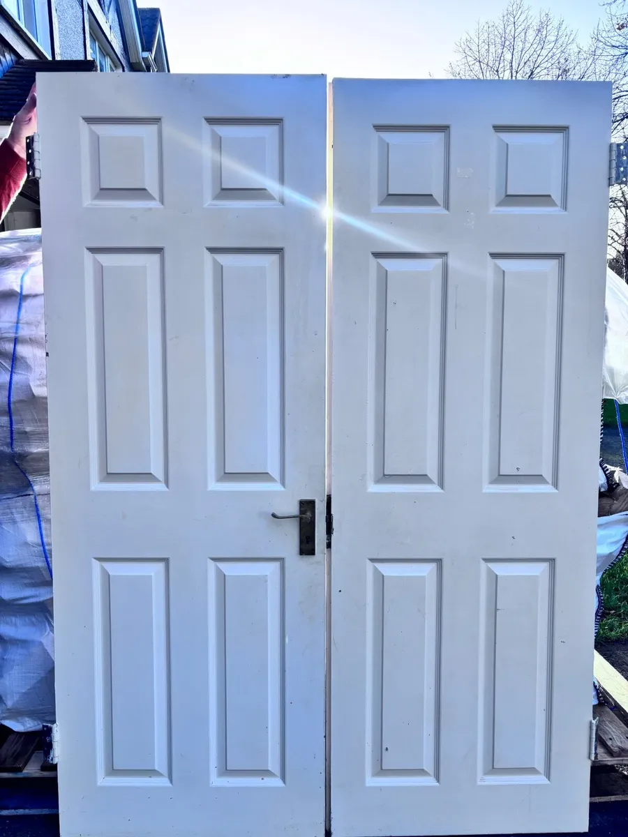 FREE Set of panelled double doors - Image 1