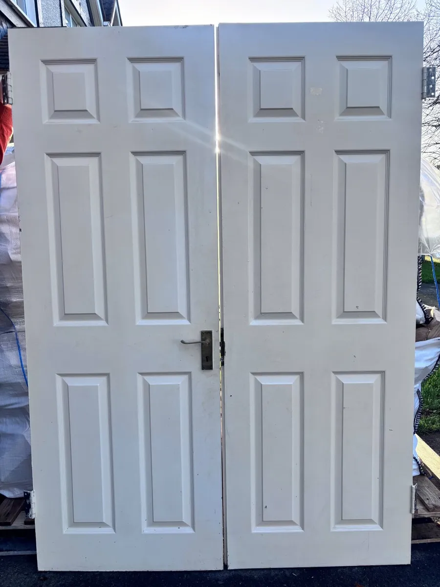 FREE Set of panelled double doors - Image 2
