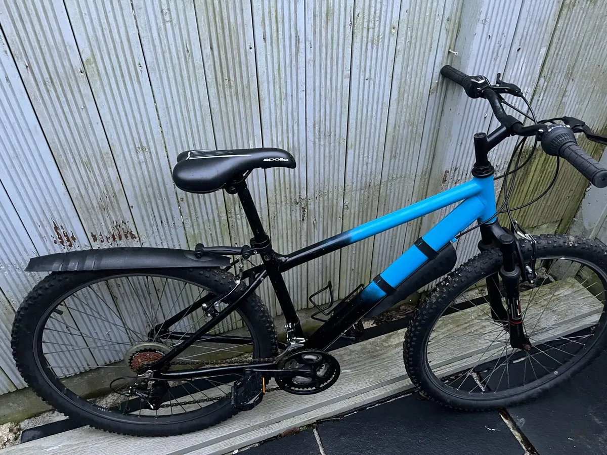 Spray painted bike - Image 1