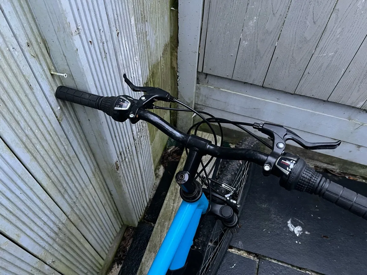 Spray painted bike - Image 2