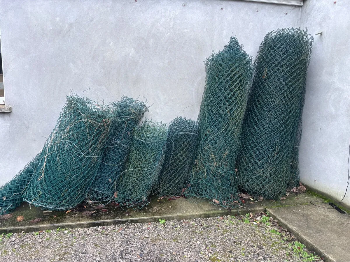 Chain link Fencing - Image 1
