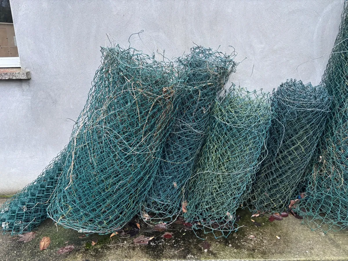 Chain link Fencing - Image 2