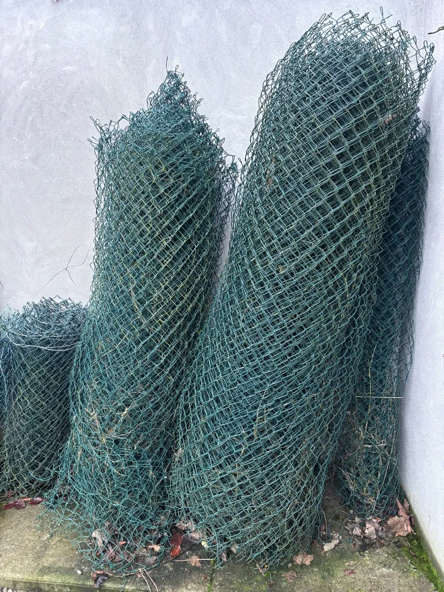 Chain link Fencing - Image 3
