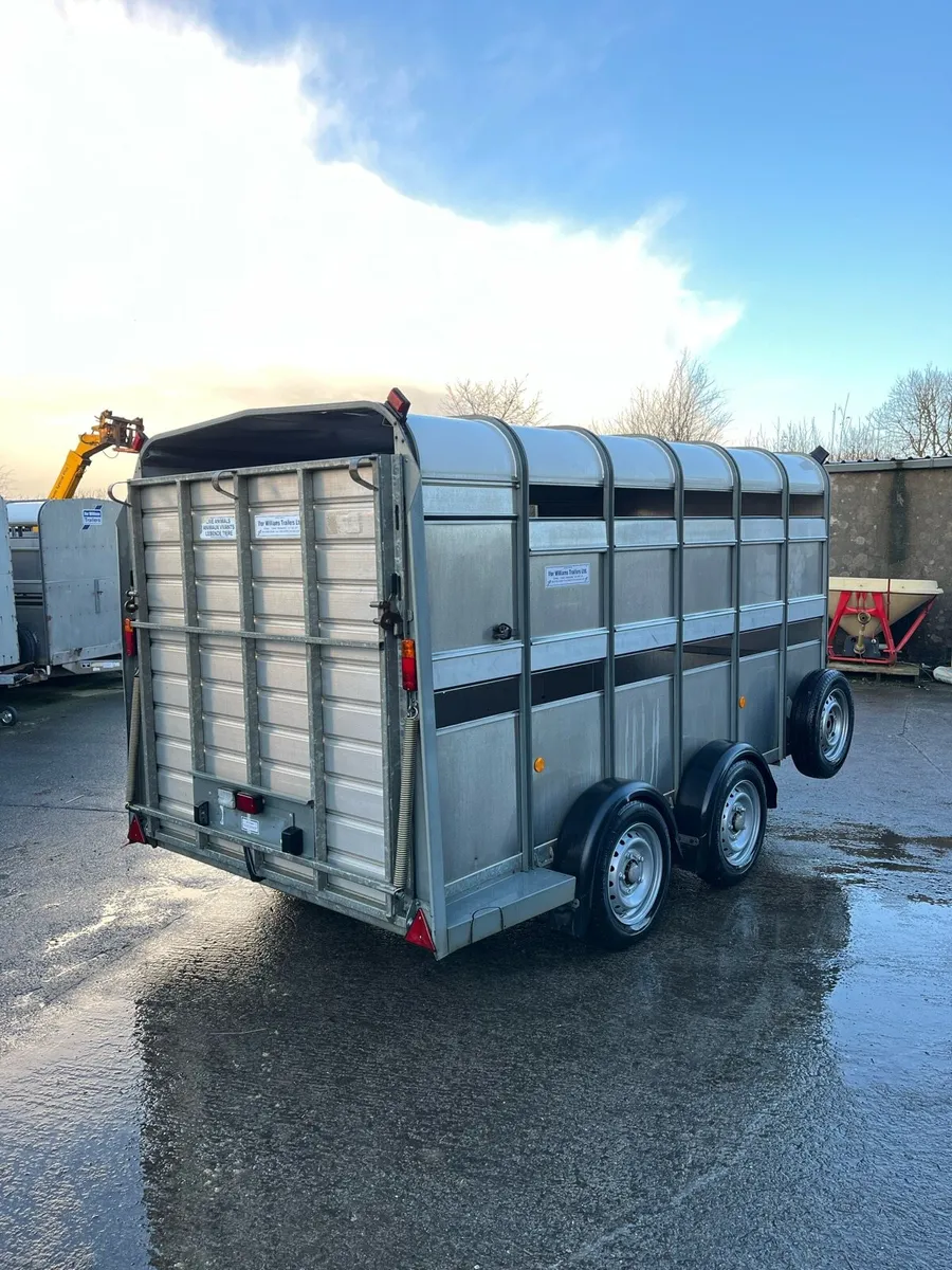 CJS Ifor Williams Livestock Trailer - Image 4