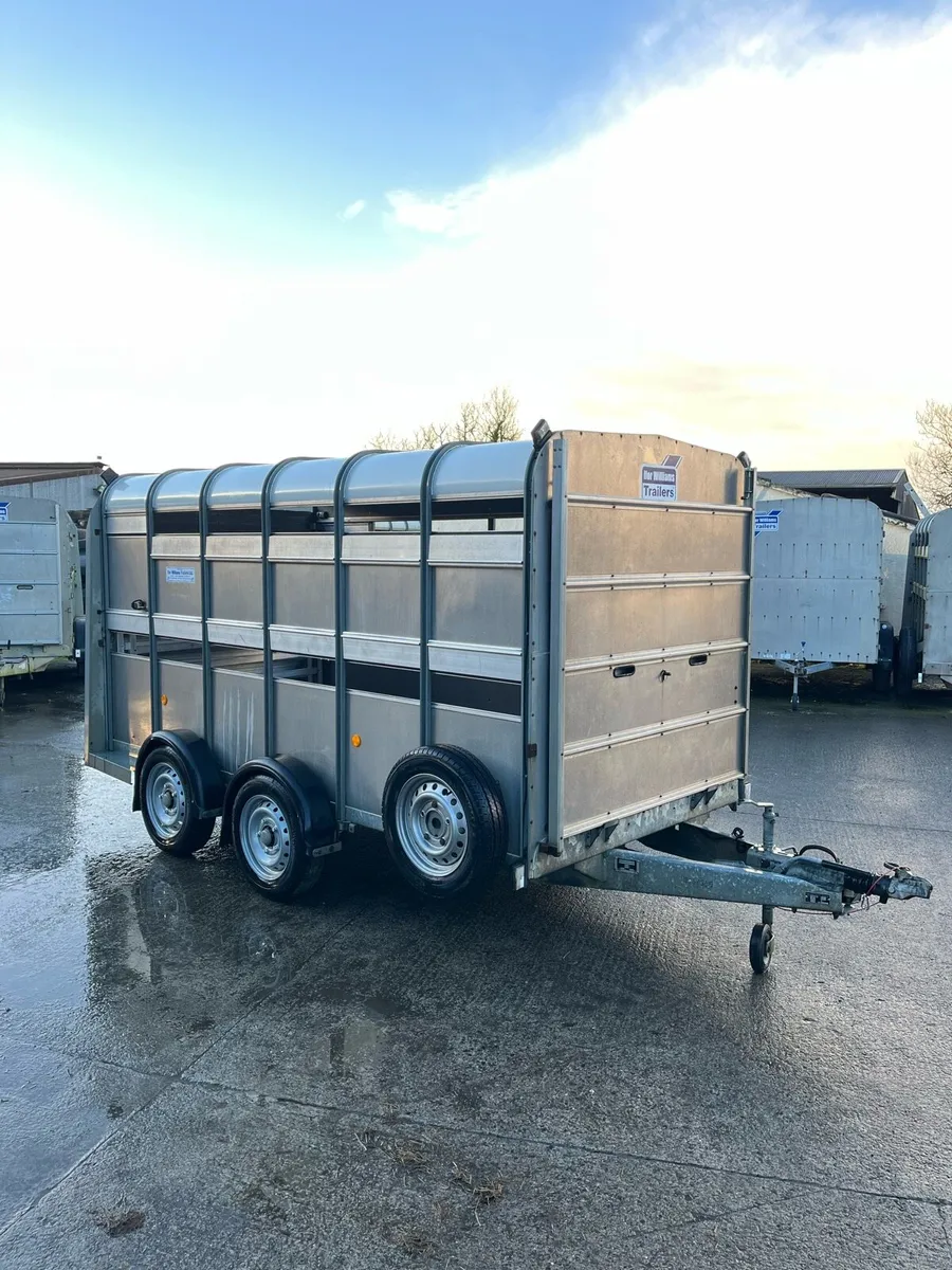 CJS Ifor Williams Livestock Trailer - Image 1