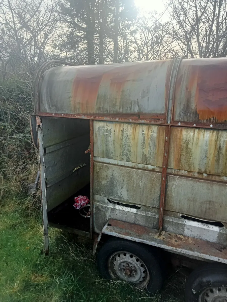 Cattle Trailer - Image 4