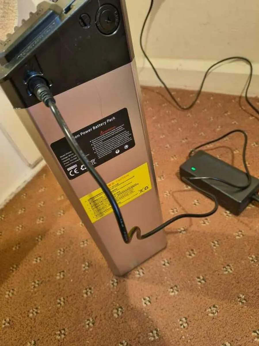 Electric Bicycle - Image 3