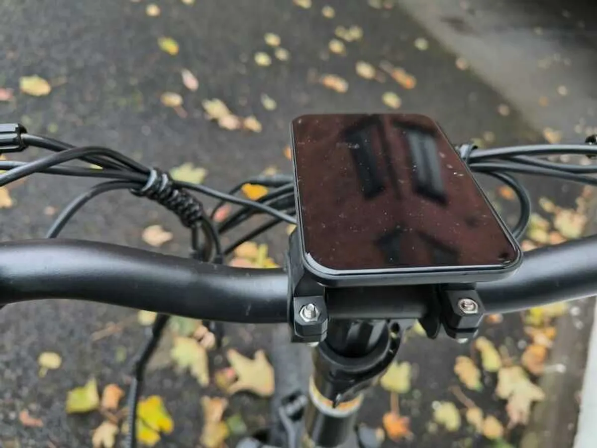 Electric Bicycle - Image 4