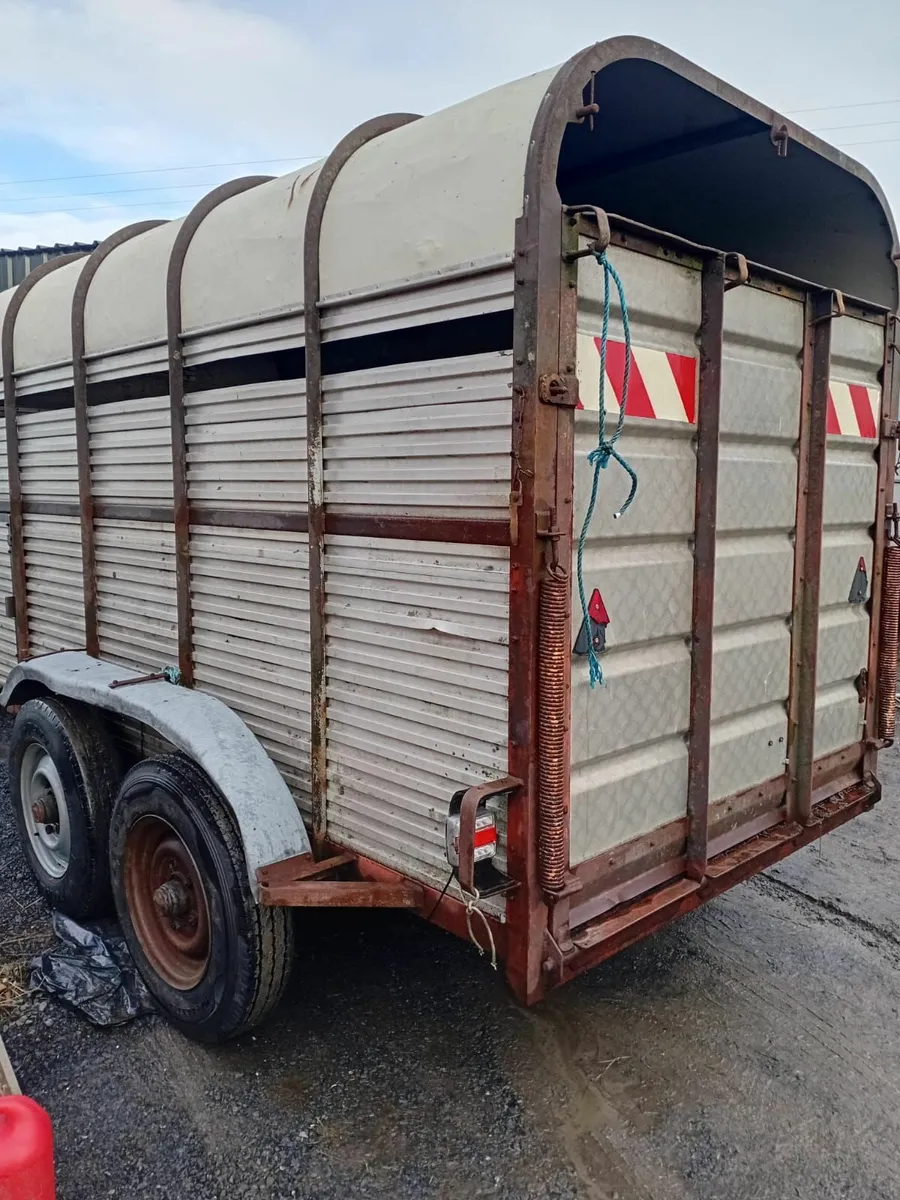 Cattle trailer - Image 4