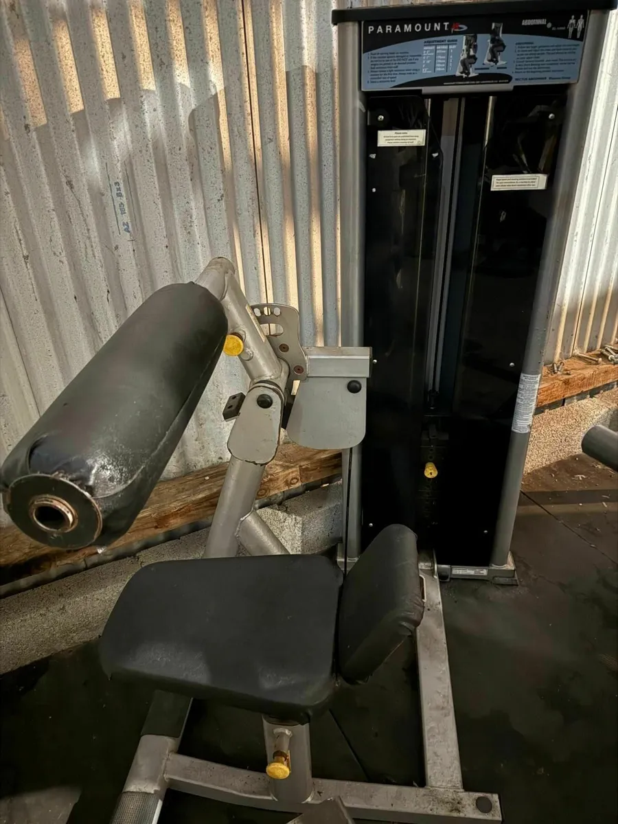 Paramount Abdominal Machine – Commercial Grade - Image 1