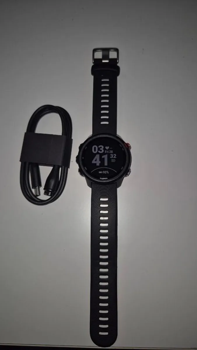 Garmin Forerunner 245 music - Image 1