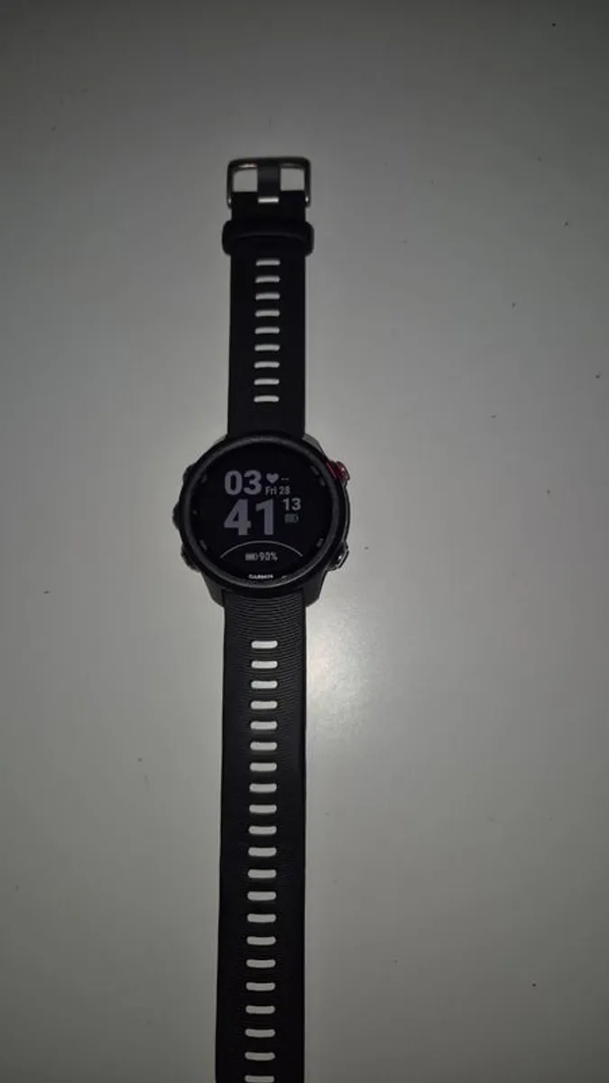 Garmin Forerunner 245 music - Image 2