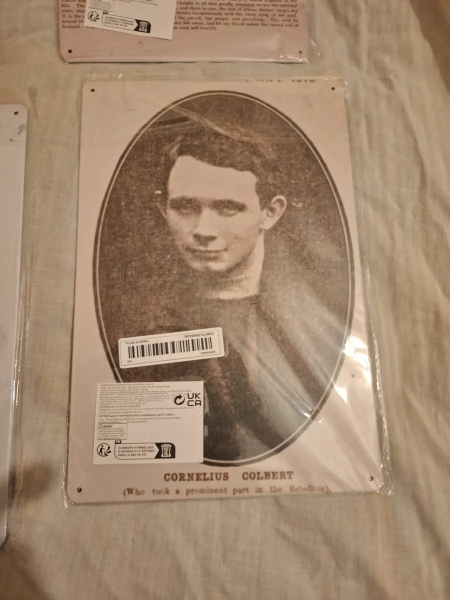 Selection of Irish historical wall plaques - Image 4