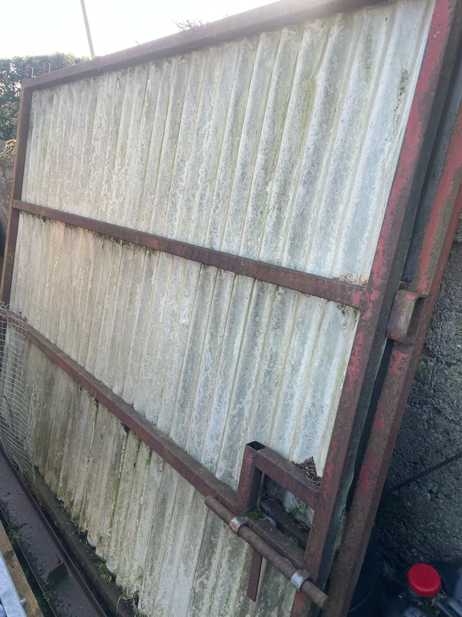 Shed doors - Image 1