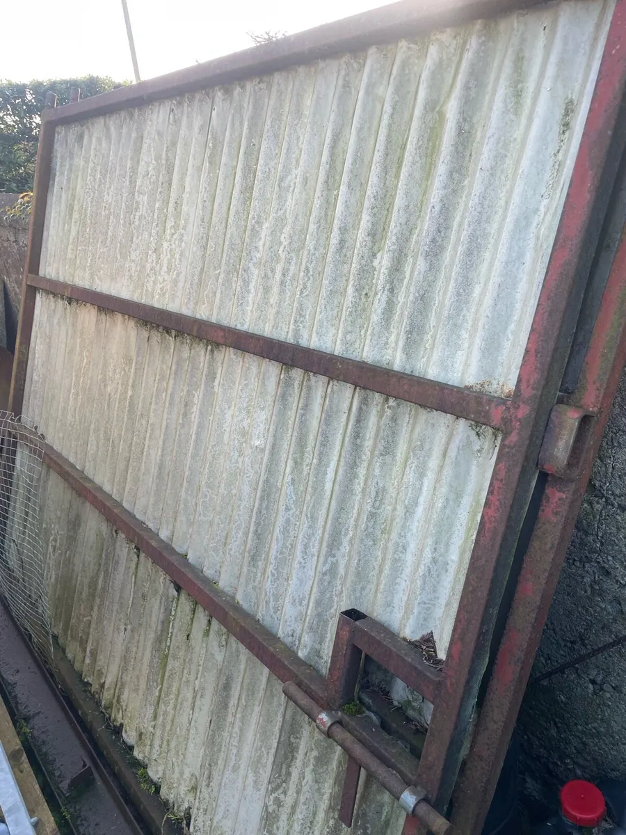 Shed doors - Image 2