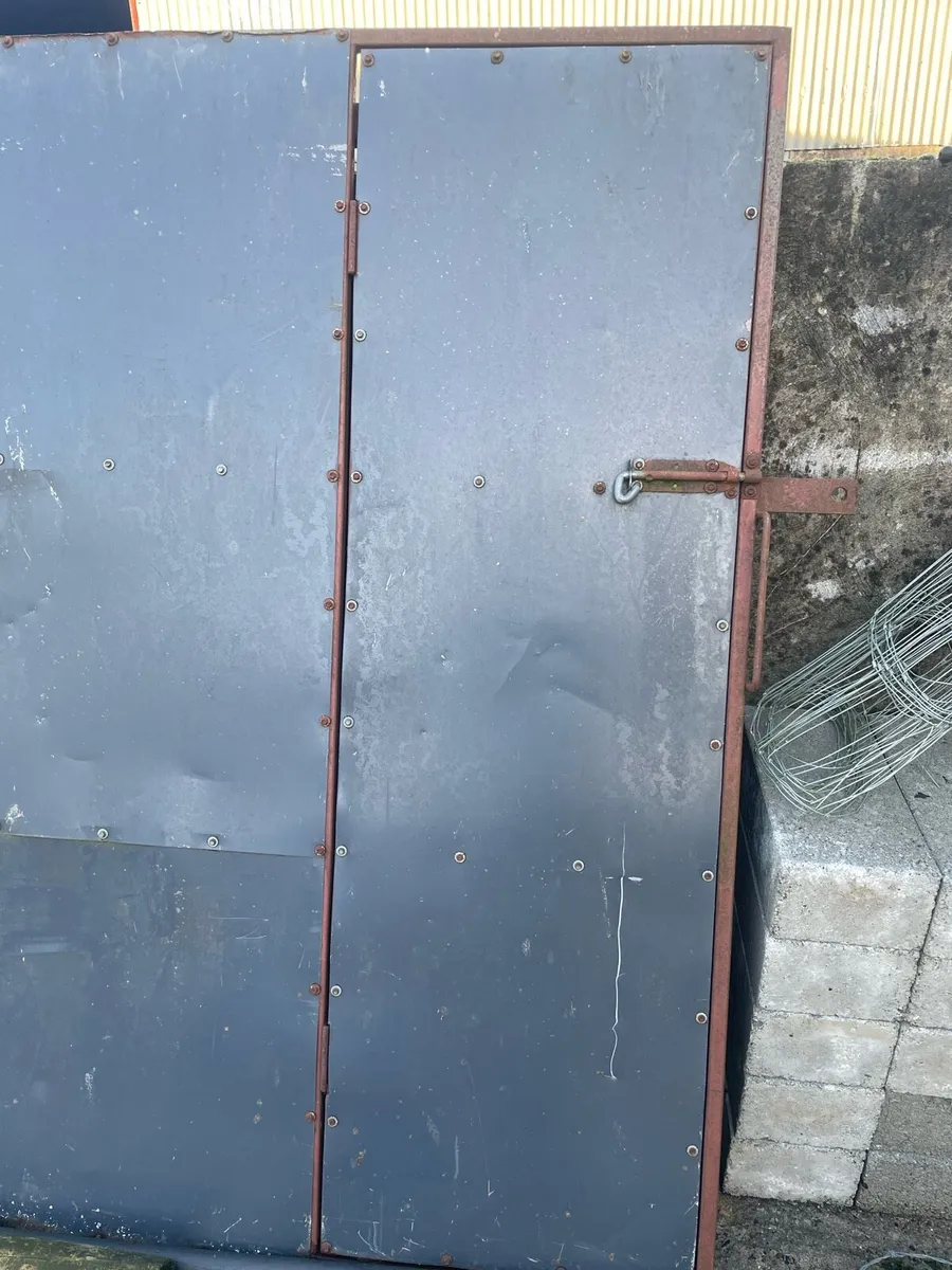 Shed doors - Image 4