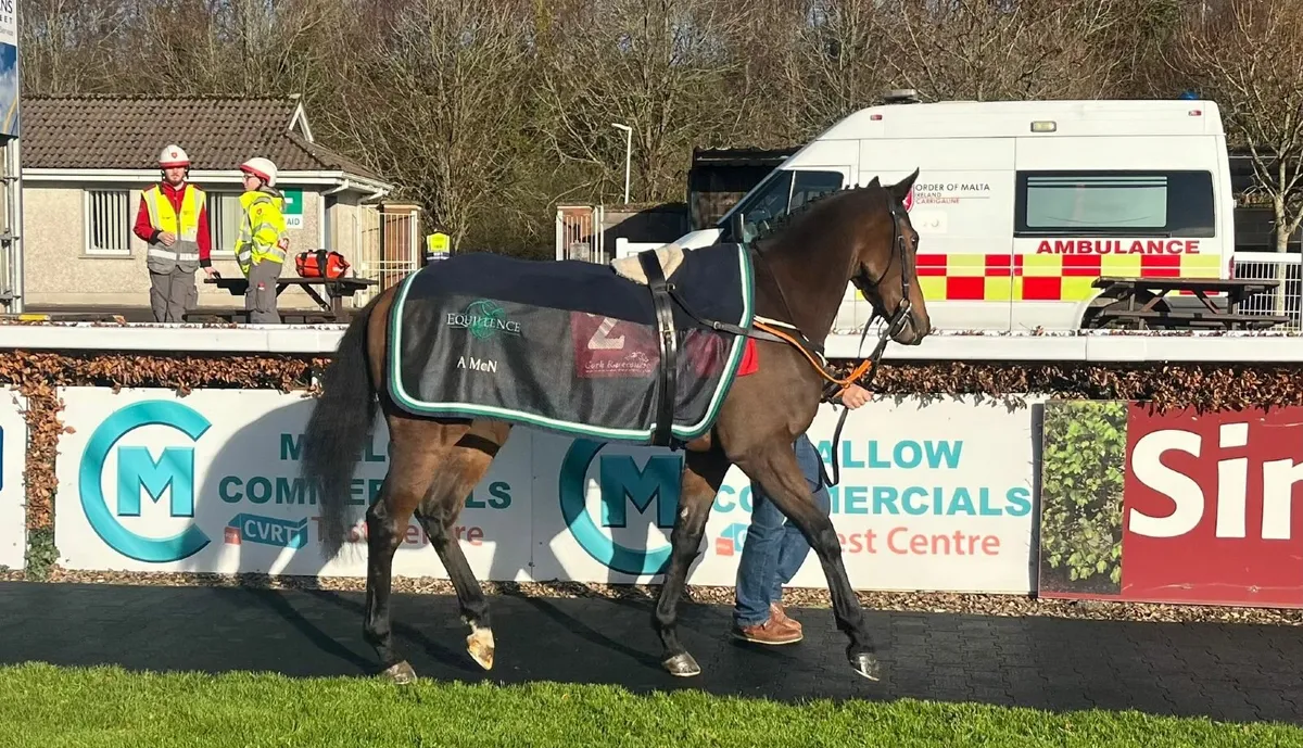 🔥 LIVE AUCTIONS 8PM Tonight - OTTBs - Image 3