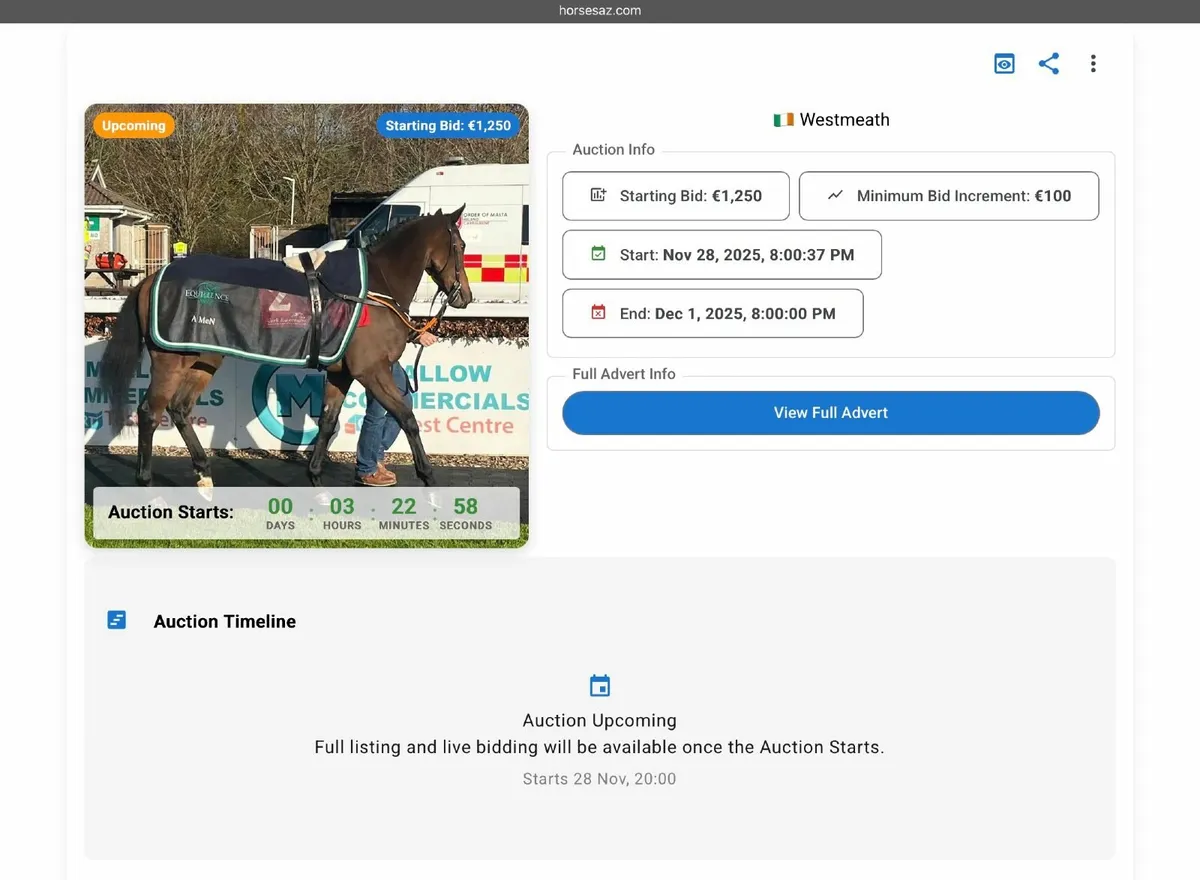 🔥 LIVE AUCTIONS 8PM Tonight - OTTBs - Image 4