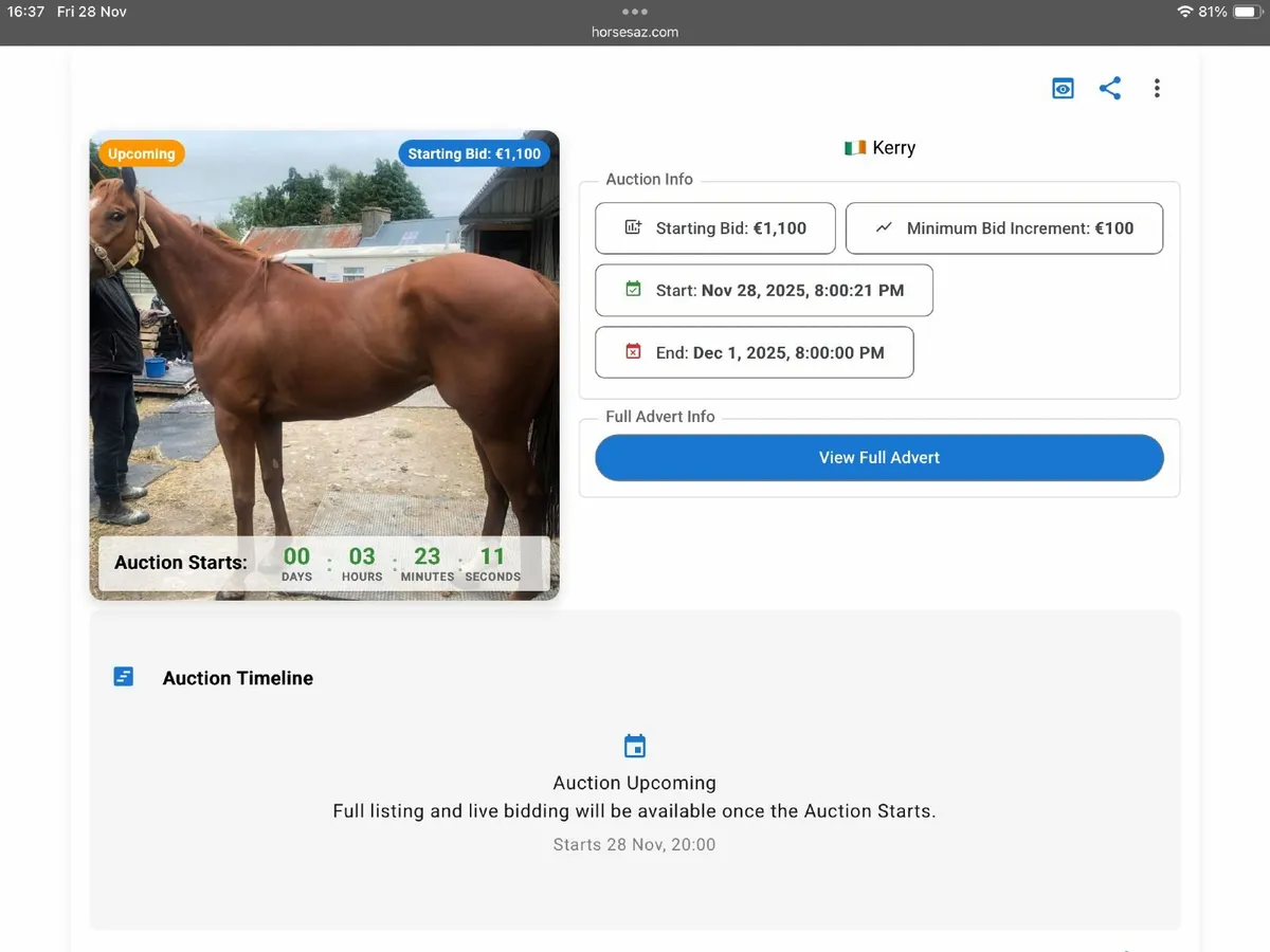 🔥 LIVE AUCTIONS 8PM Tonight - OTTBs - Image 2