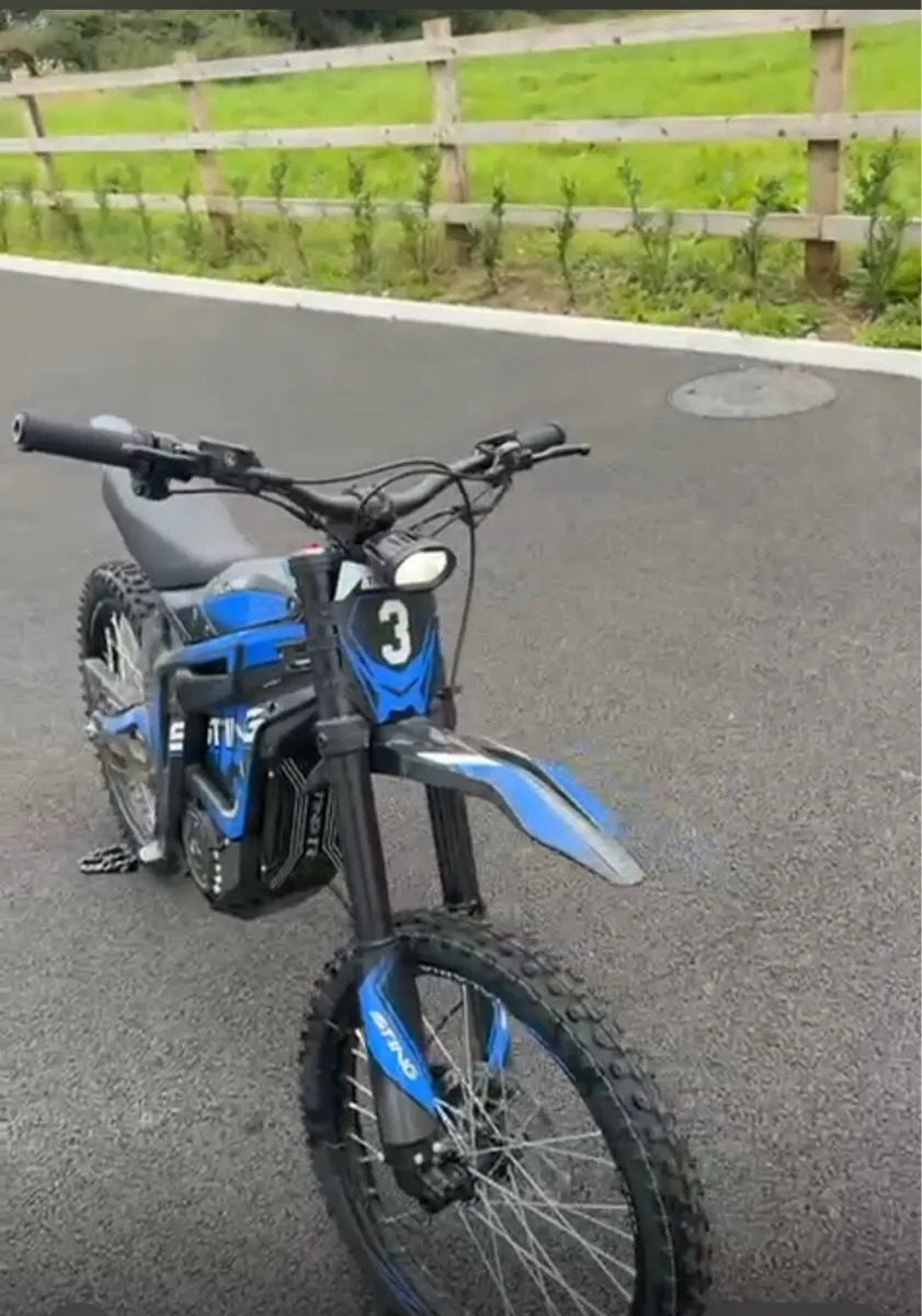 Talaria Sting R - Image 2