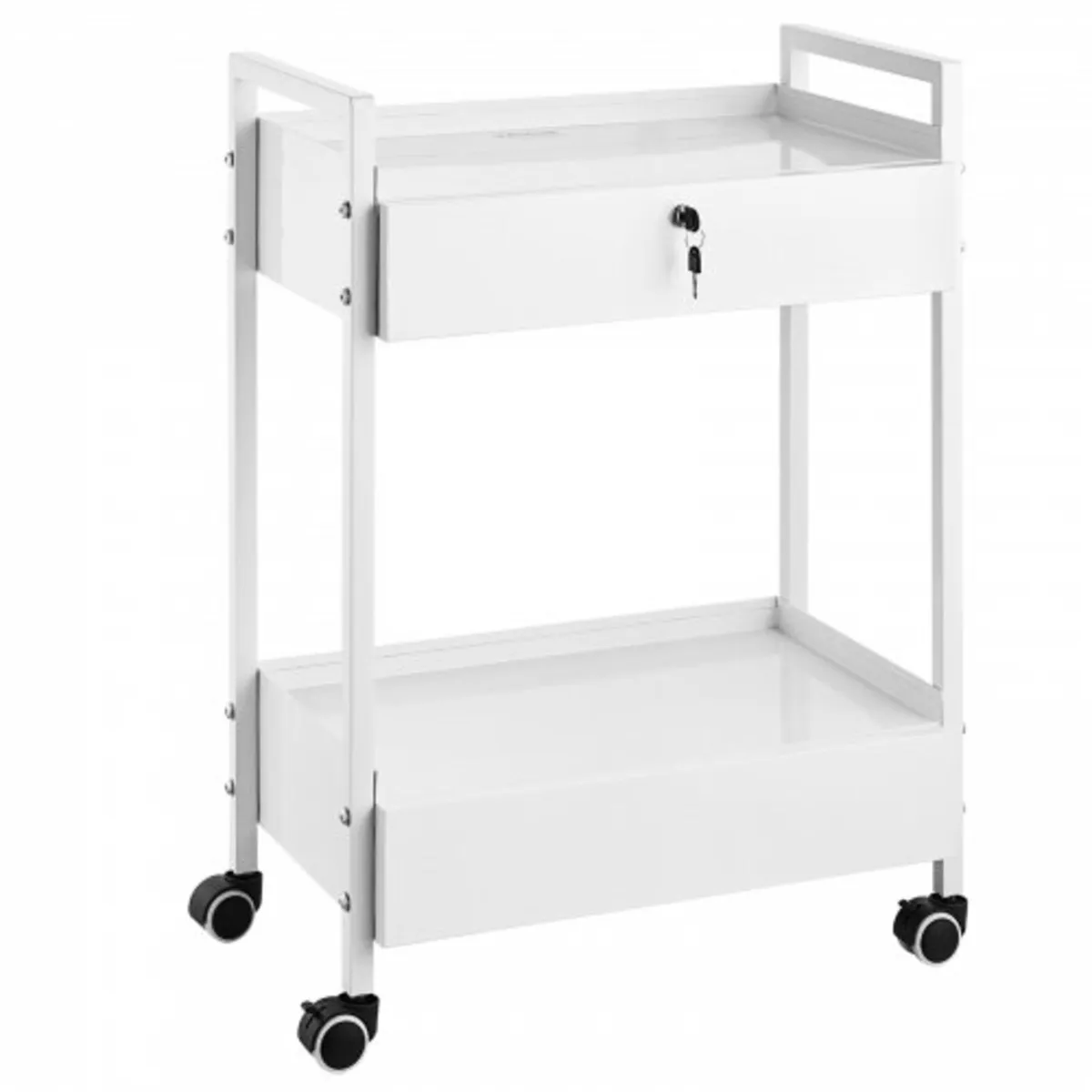 Lab Cart, 2 Tiers Stainless Steel Utility Cart, Me - Image 1