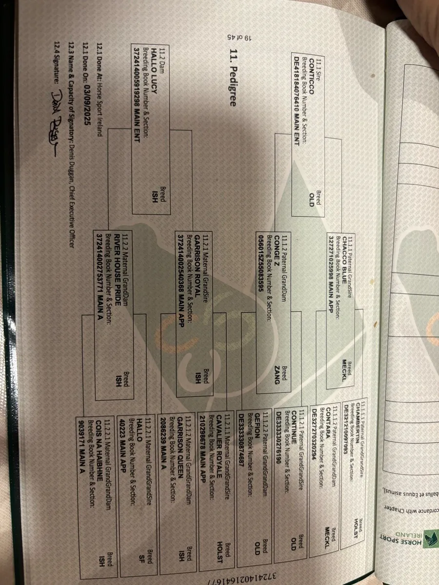 ☘️Lot 536 Goresbridge 6th December☘️ - Image 3