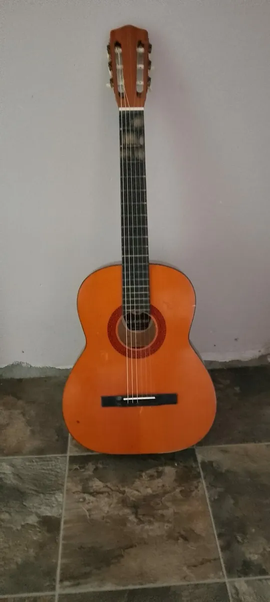 Guitar