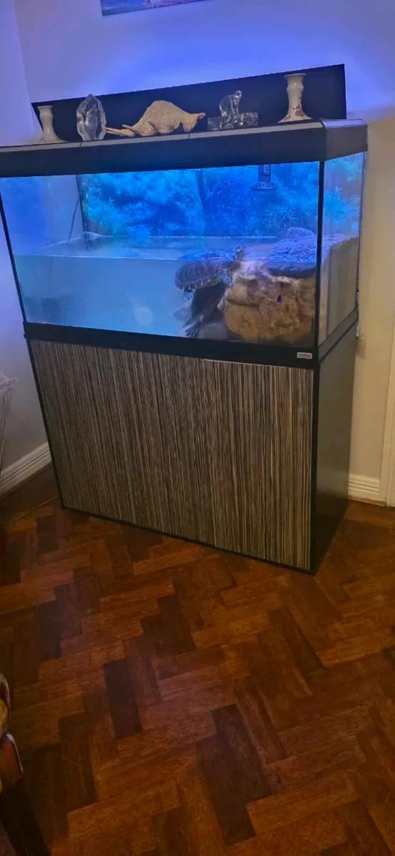 Turtles and tank - Image 3