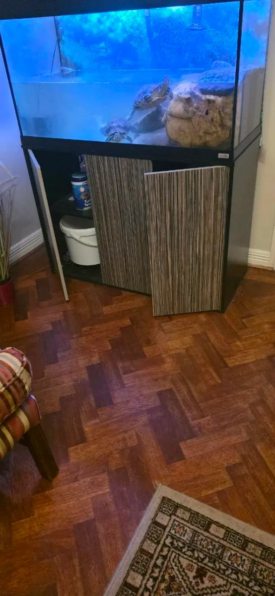 Turtles and tank - Image 4