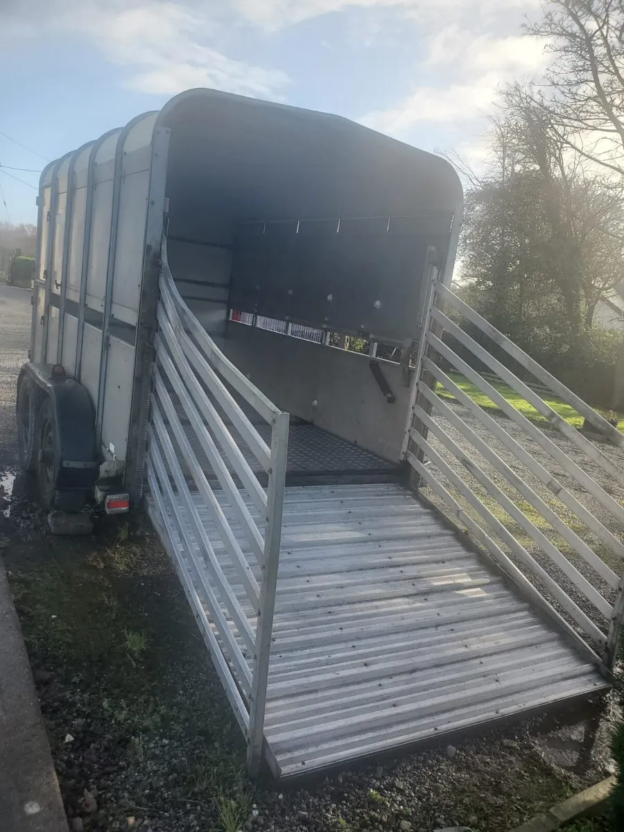 Cattle Trailer - Image 2