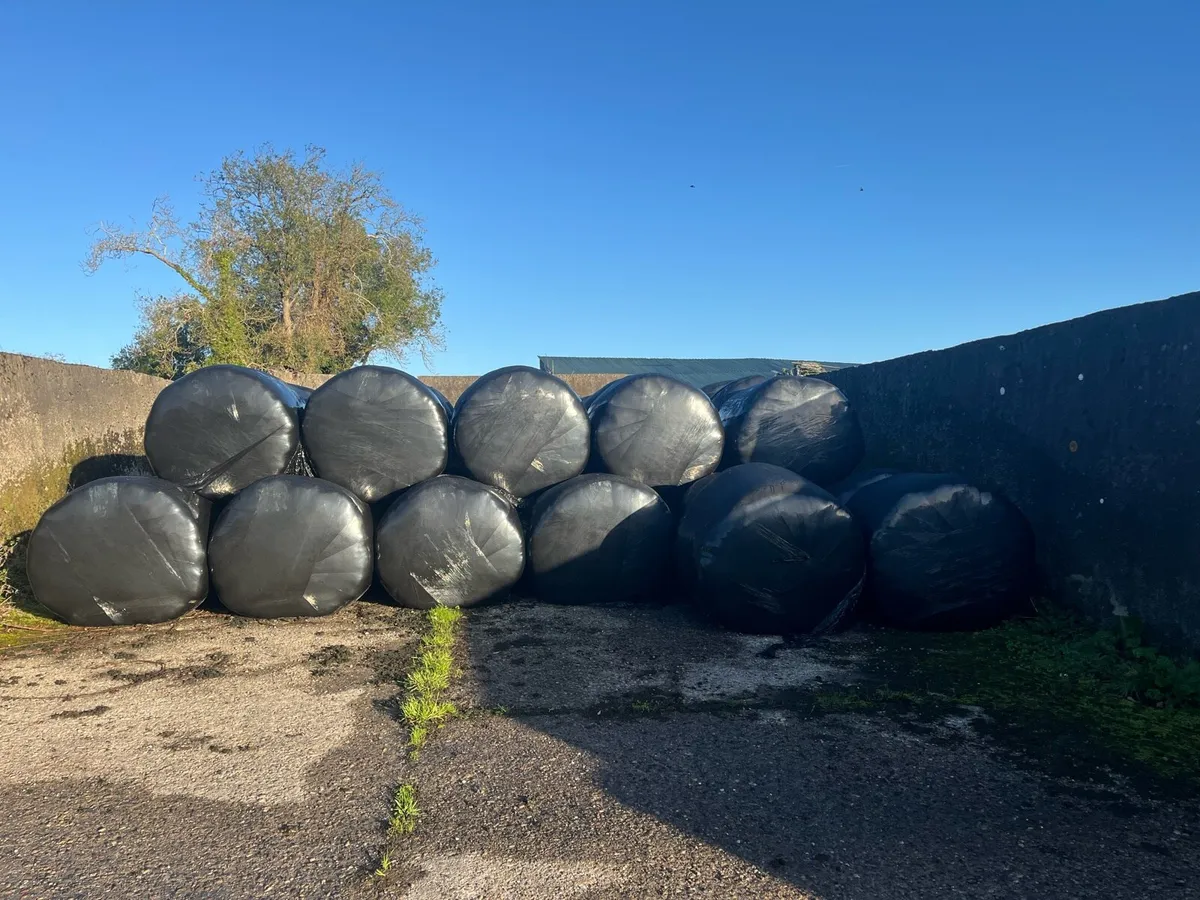 Hay and silage - Image 2