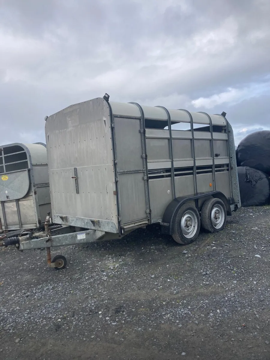 Ifor williams cow box - Image 1