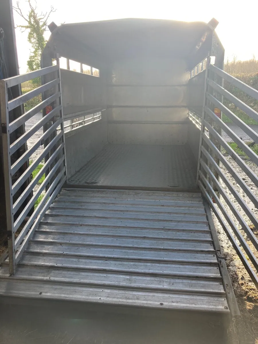 Ifor williams cow box - Image 2