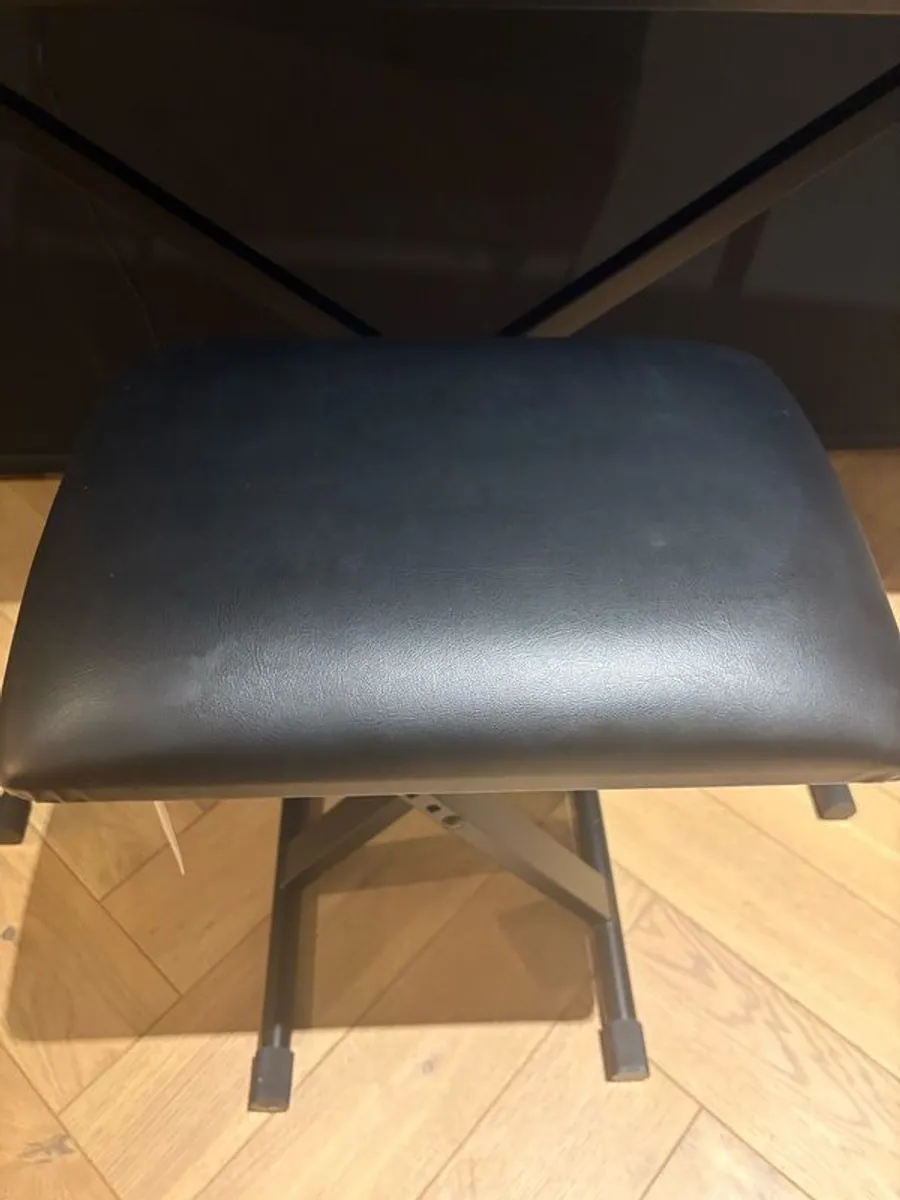 Casio Cdp-S350 - Image 4