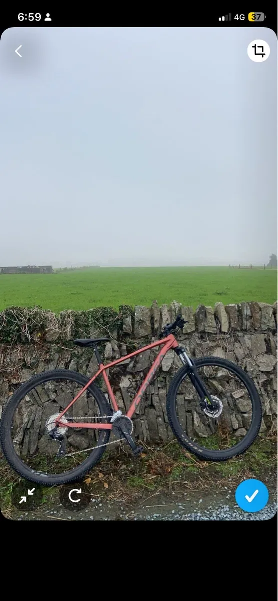 2024 Onna orbea - Image 1