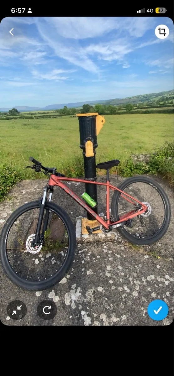 2024 Onna orbea - Image 2