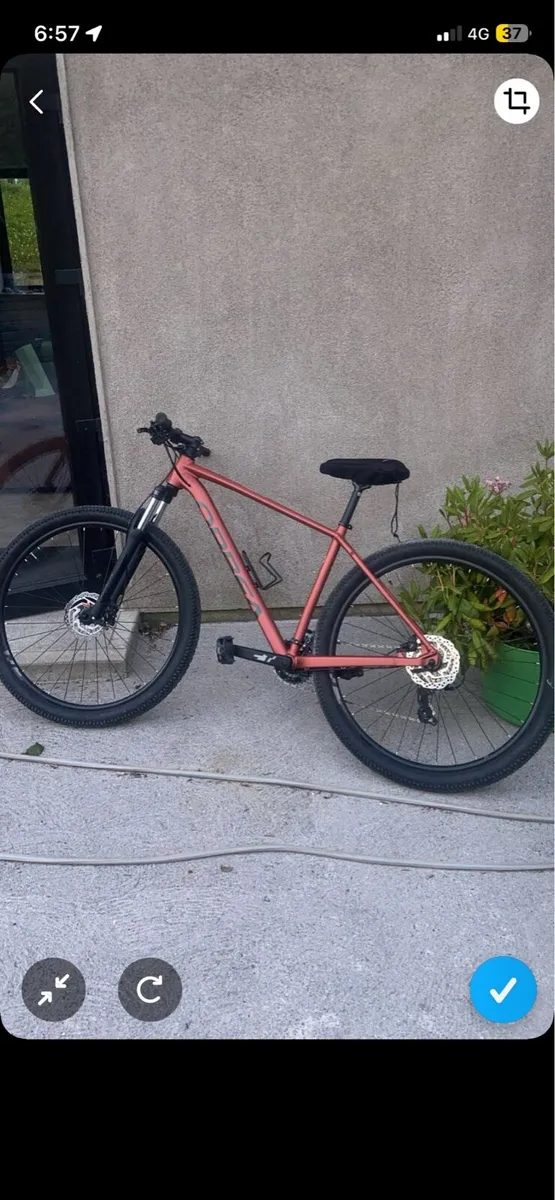 2024 Onna orbea - Image 3