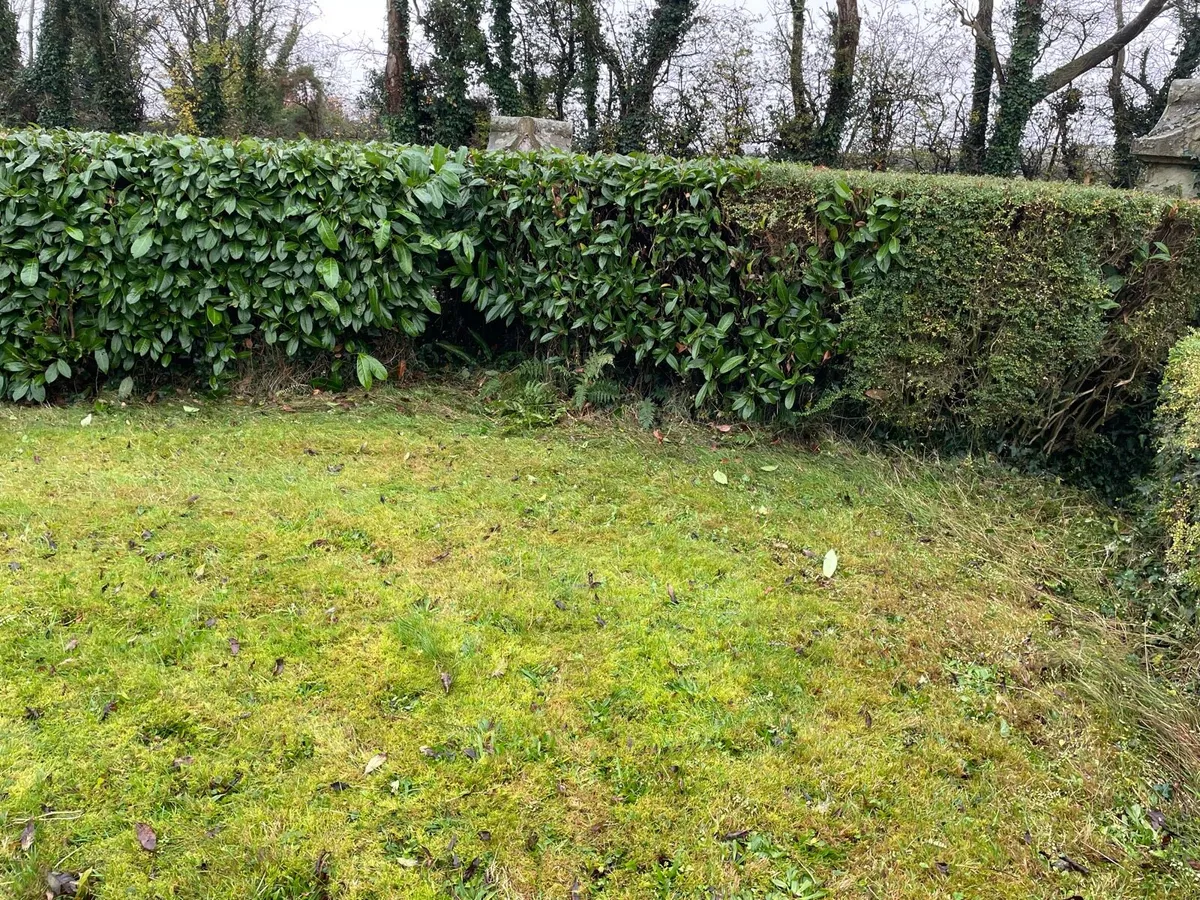 Landscaping & hedge cutting - Image 3