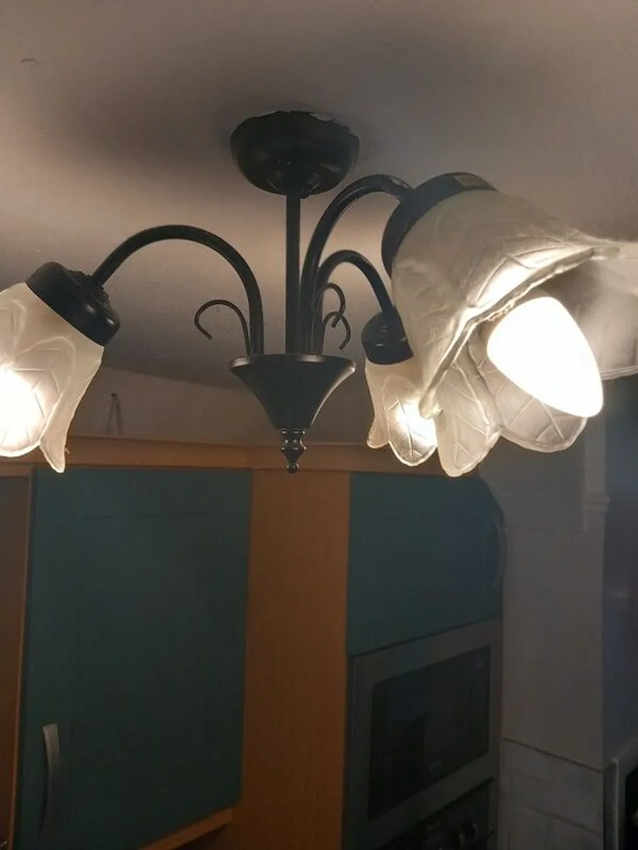 ceiling light - Image 1