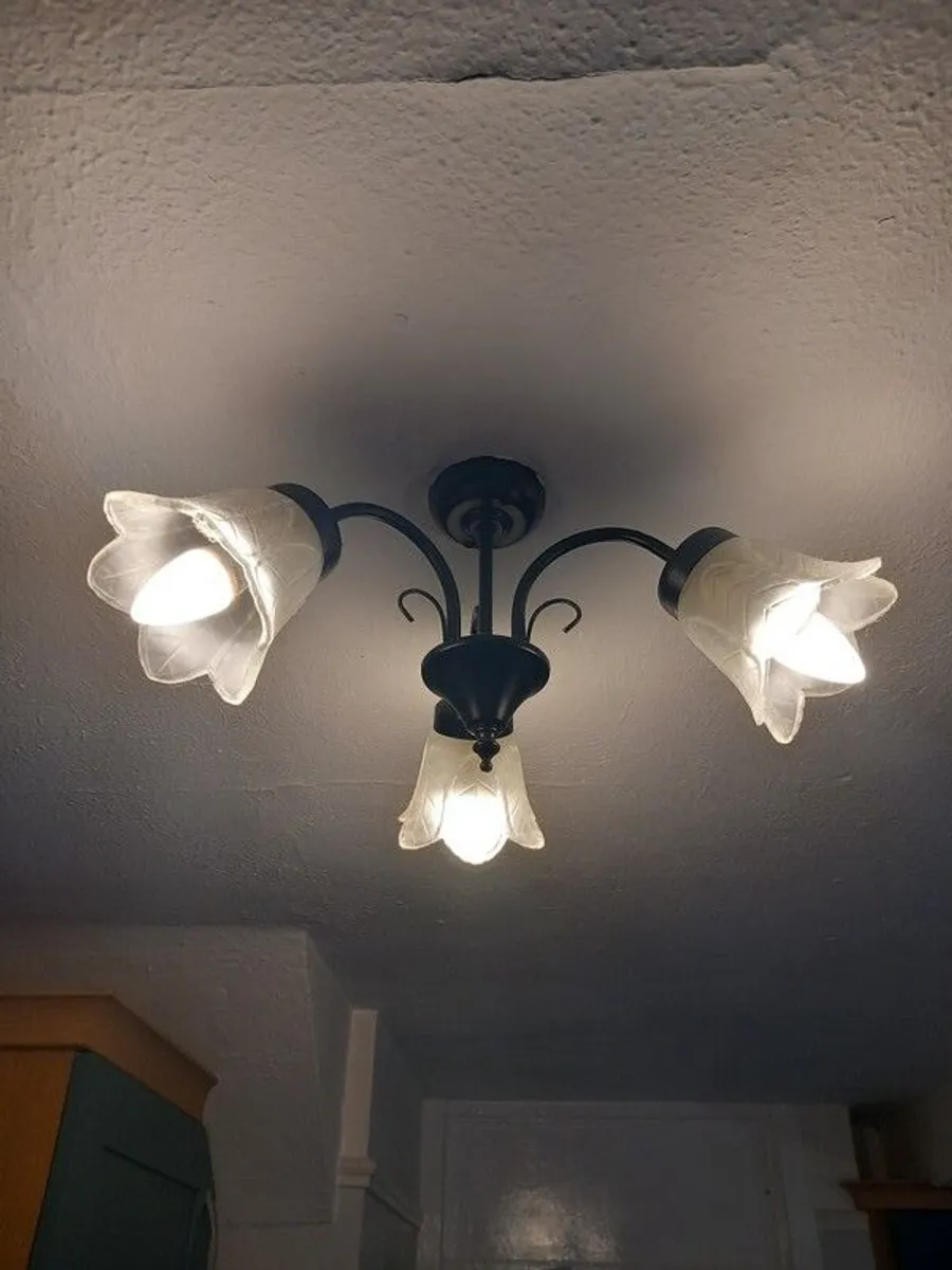 ceiling light - Image 2