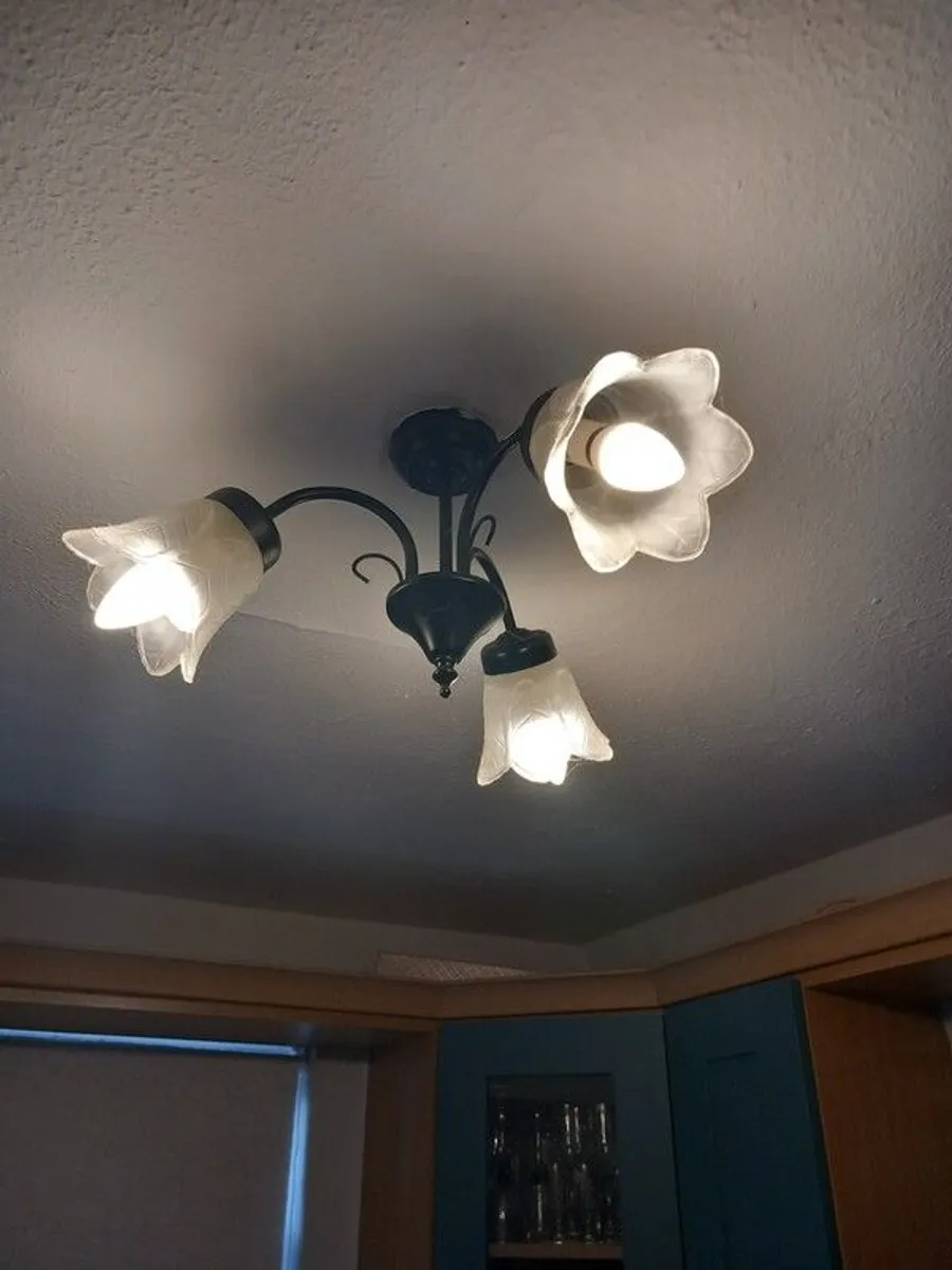 ceiling light - Image 4